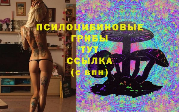 дмт Алексин
