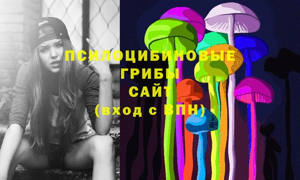 хмурый Алексеевка