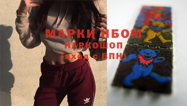 a pvp Алзамай