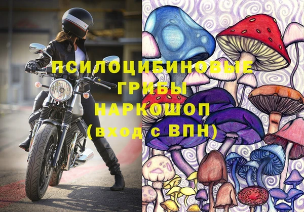 стафф Абаза