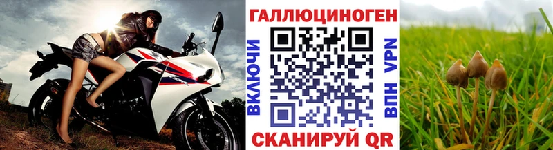 закладка mega Псилоцибиновые грибы MAGIC MUSHROOMS Мегион
